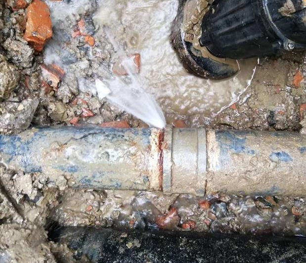 仪器检测